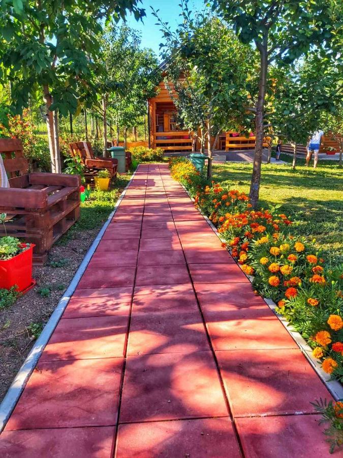 Holiday Bungalows & Food พลาฟ ภายนอก รูปภาพ